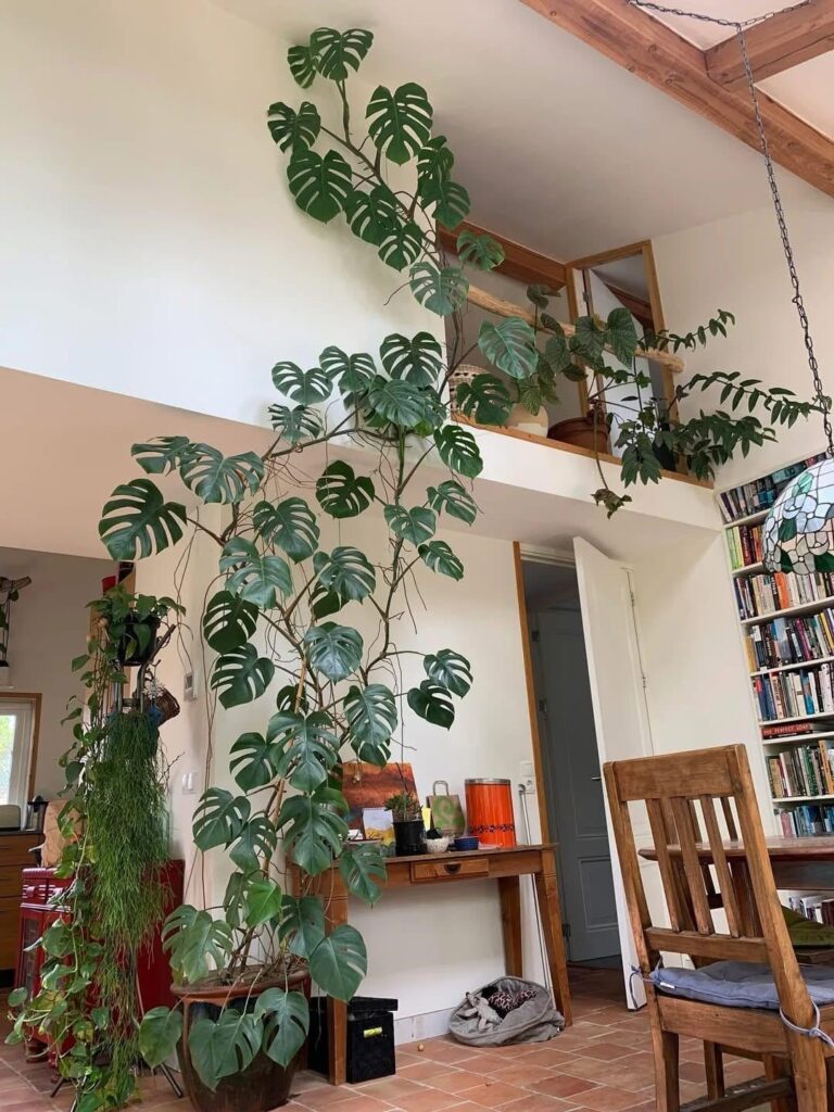 Saw this on Facebook had to share