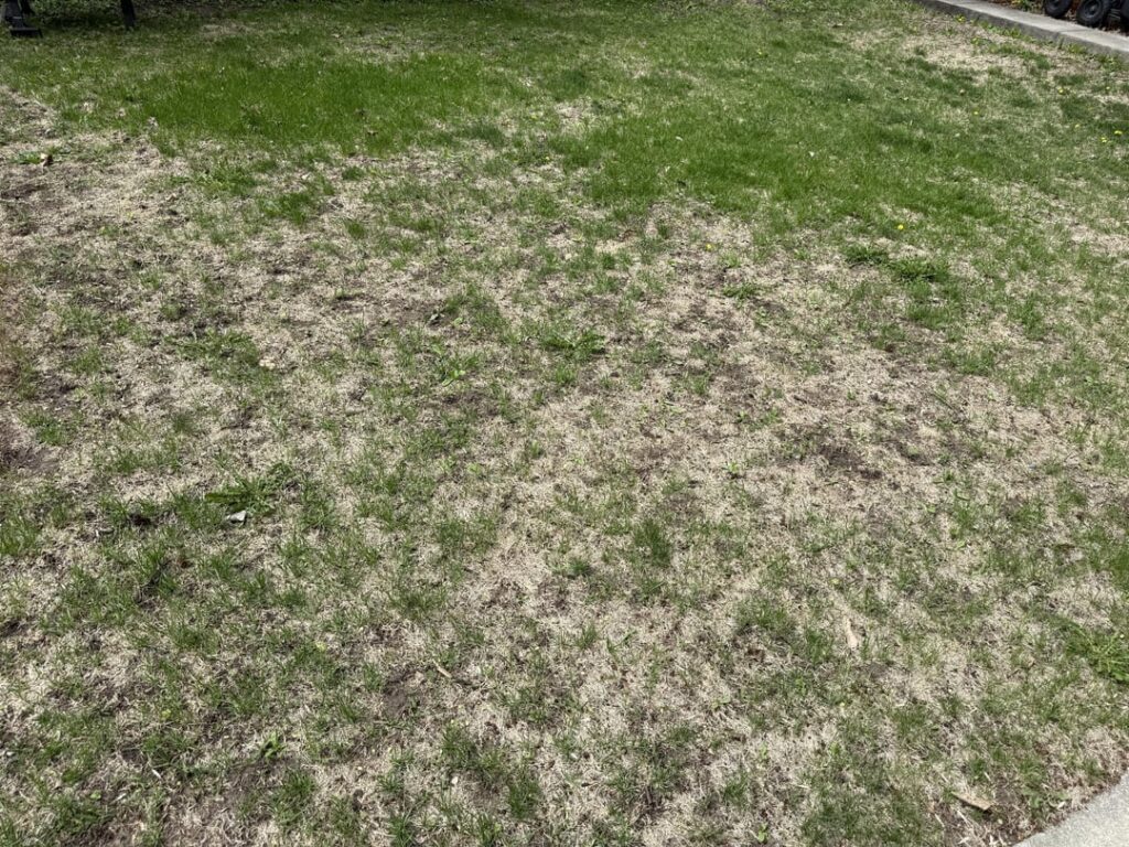 Advice needed Advice needed