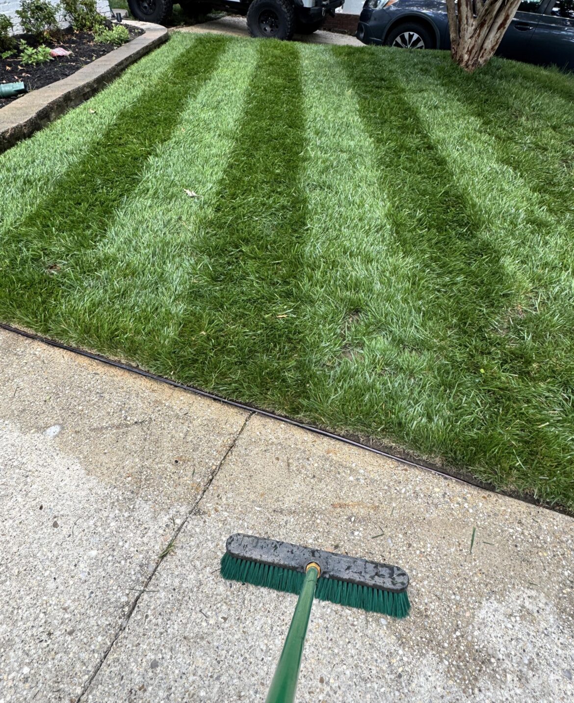 My neighbors think I’m insane using a broom, but it’s hard to argue with the results (Washington D.C., 7a)