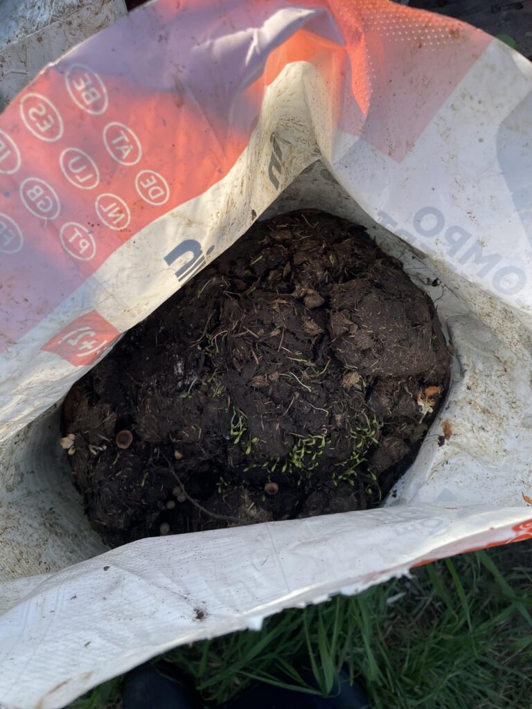 Horse manure question