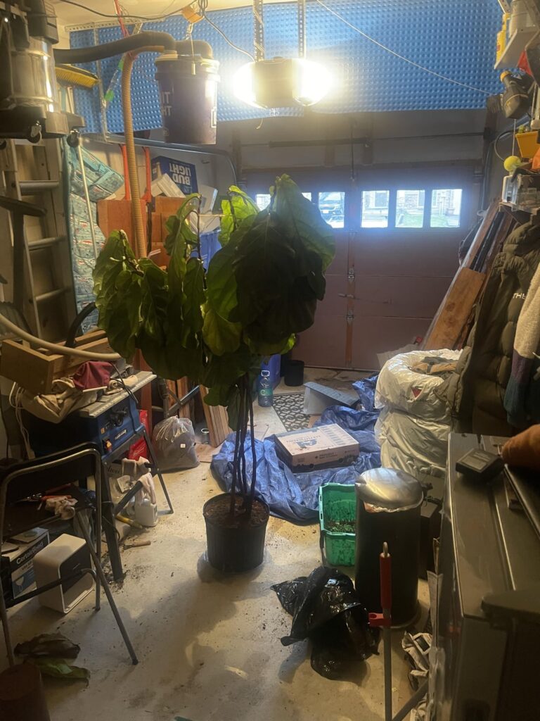 Update after repotting so Update after repotting so