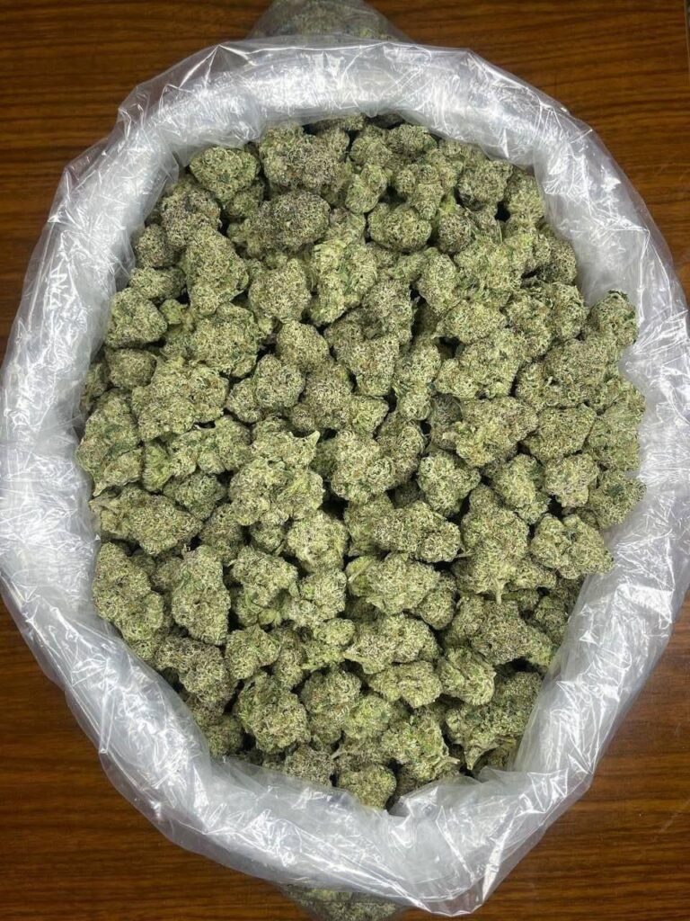 🍍⛽Pineapple DIESEL🍍⛽