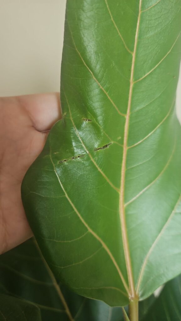 Need help!