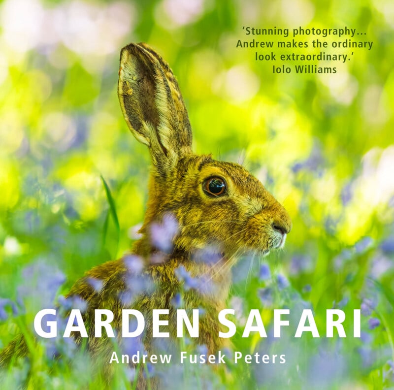 A close-up of a brown hare sitting among purple and green foliage, with the book title "GARDEN SAFARI" and author "Andrew Fusek Peters" displayed in bold white text. A review quote appears at the top right.