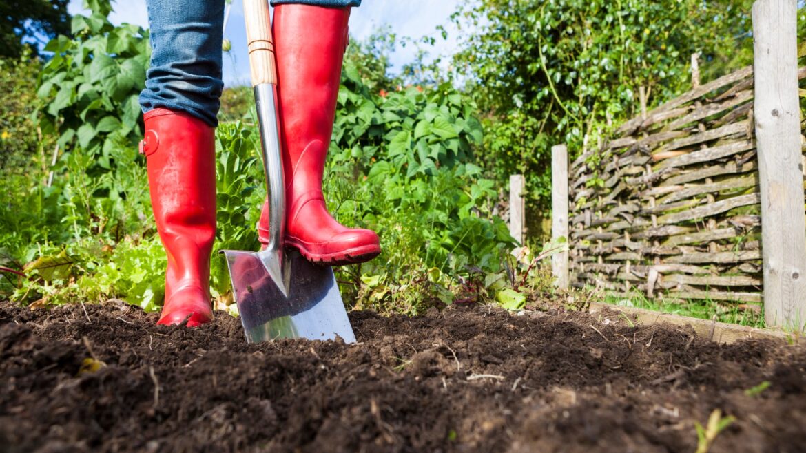 Turn garden into a holiday, our Sun Gardening editor explains how to create zones