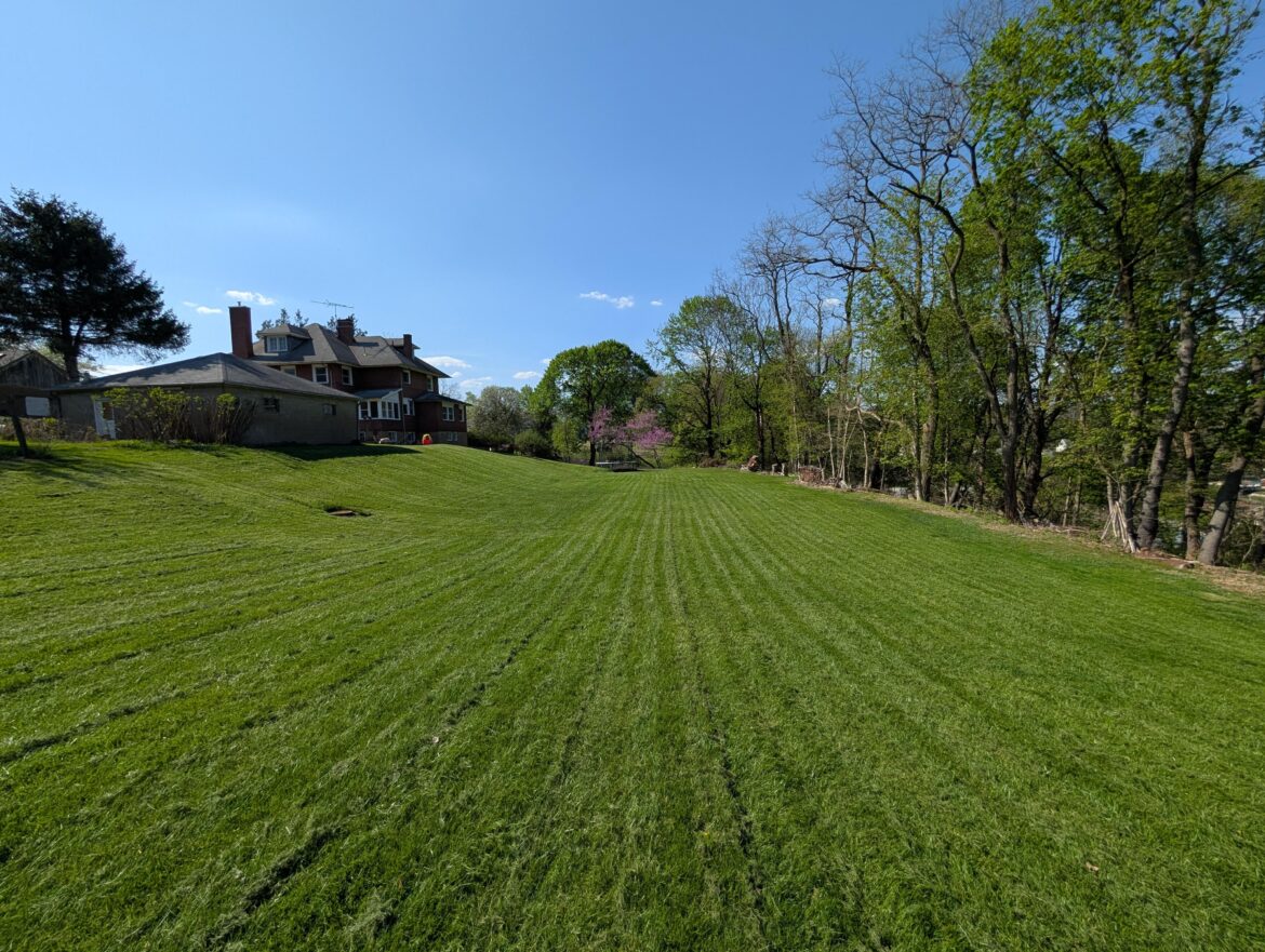 First mow at the new house.