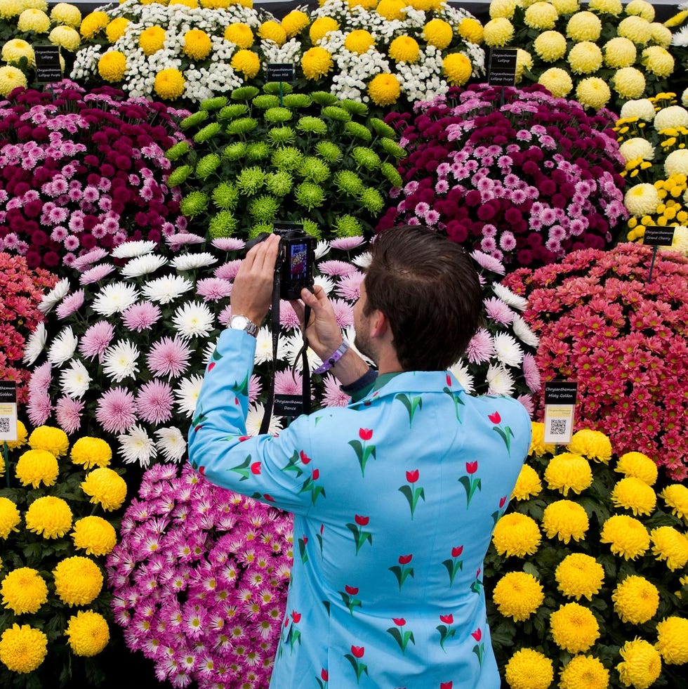 topshot a visitor dressed in a flower themed suit looks at flowers on display in the great pavilion at the 2015 chelsea flower show in london on may 18, 2015. the chelsea flower show, held annually in the grounds of the royal hospital chelsea, will run this year from may 19 23. afp photo / justin tallis (photo by justin tallis / afp) (photo by justin tallis/afp via getty images)