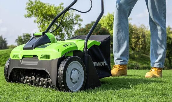 Person scarifying the lawn
