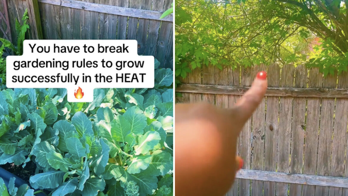 ‘Throw the rules out the window’ "Good lookin' out. Thanks!"