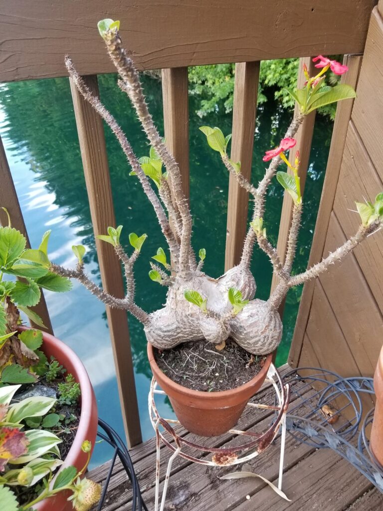 Some of the gang that got moved around today.