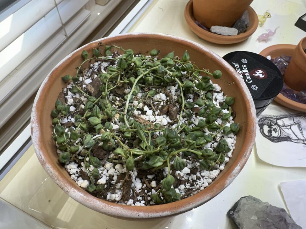 never back down never give up (3.5 months of progress) never back down never give up (3.5 months of progress)