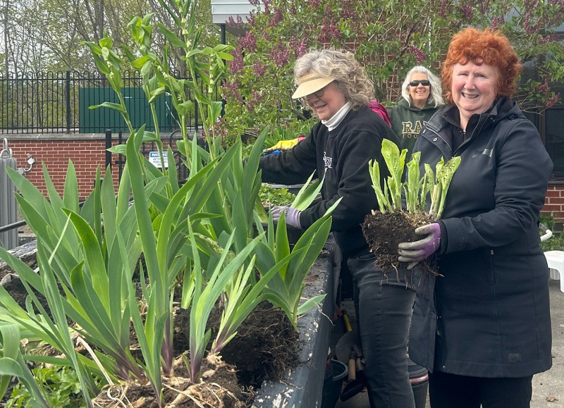 Hospital Gardeners Potting Up For Annual Plant Sale Hospital Gardeners Potting Up For Annual Plant Sale