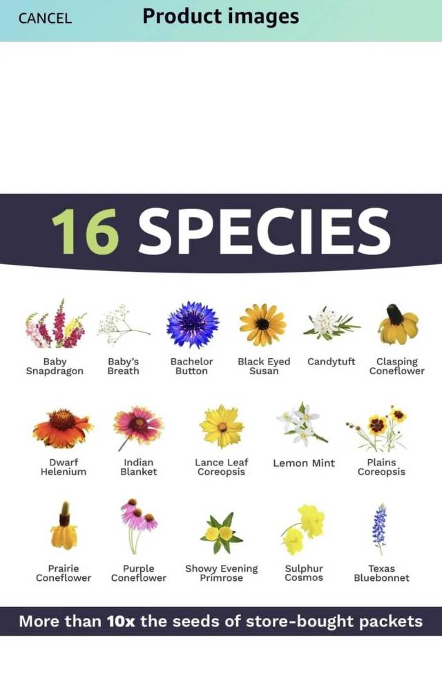 "You're not quite getting as much bang for your buck."