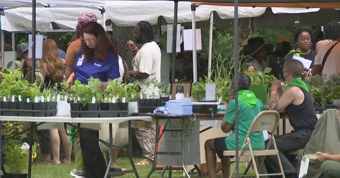 Soil festival attendees learn about composting, gardening, beekeeping, and more – WSB-TV Channel 2 Soil festival attendees learn about composting, gardening, beekeeping, and more – WSB-TV Channel 2