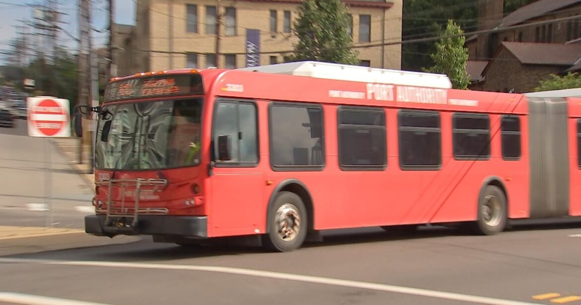 Part of Spring Garden Road to close starting June 2; PRT announces temporary route changes Part of Spring Garden Road to close starting June 2; PRT announces temporary route changes
