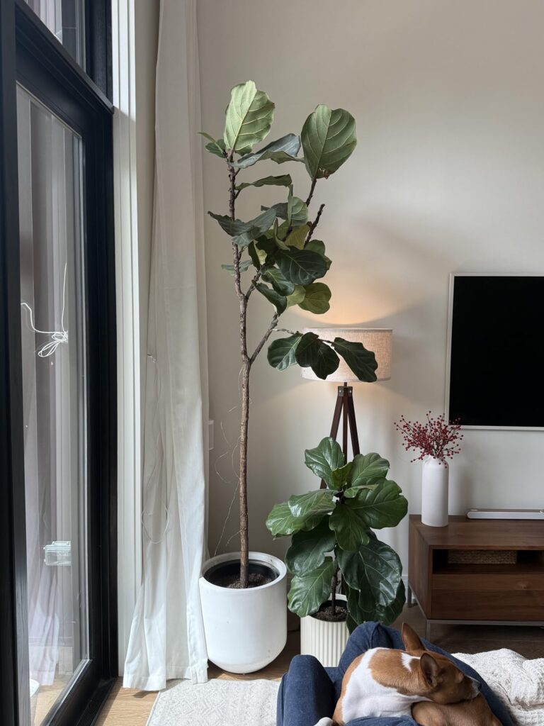 To chop or not to chop?