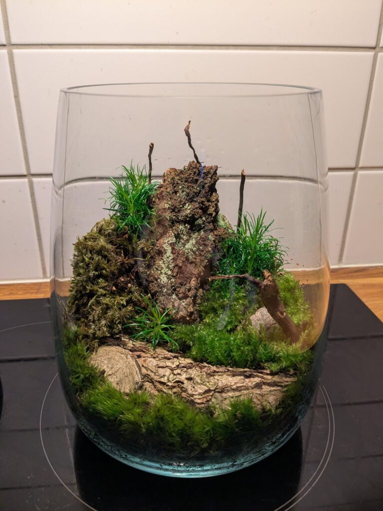 Very happy with this one, gifting it to a good friend!