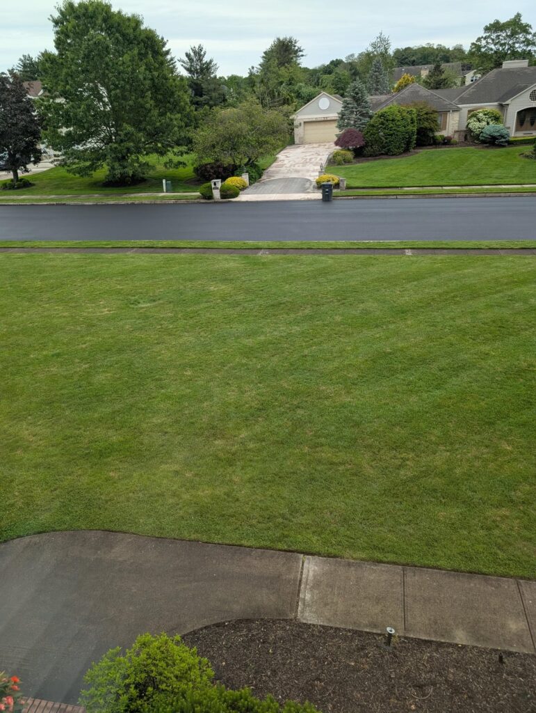 What have I got going on? What have I got going on?