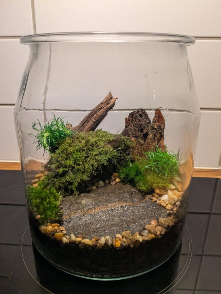 Rebuild of a Mossarium I was dissatisfied with