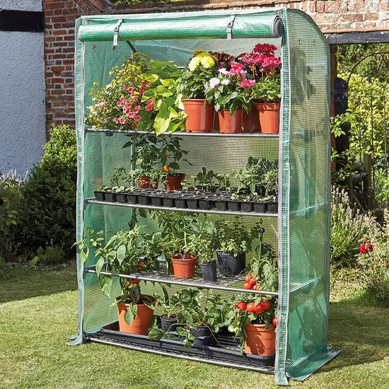 Walk-in greenhouse with three shelves of potted plants.