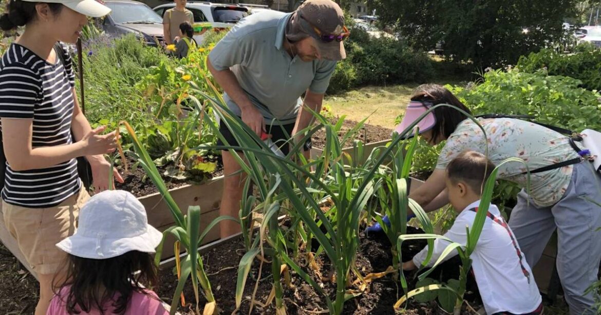 Lansdowne Centre expands community initiative with hands-on gardening workshops Lansdowne Centre expands community initiative with hands-on gardening workshops