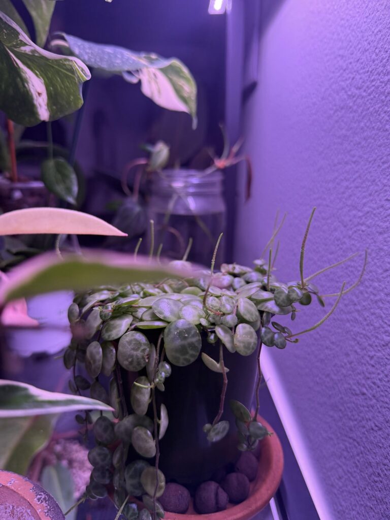 She makes me so happy🥹