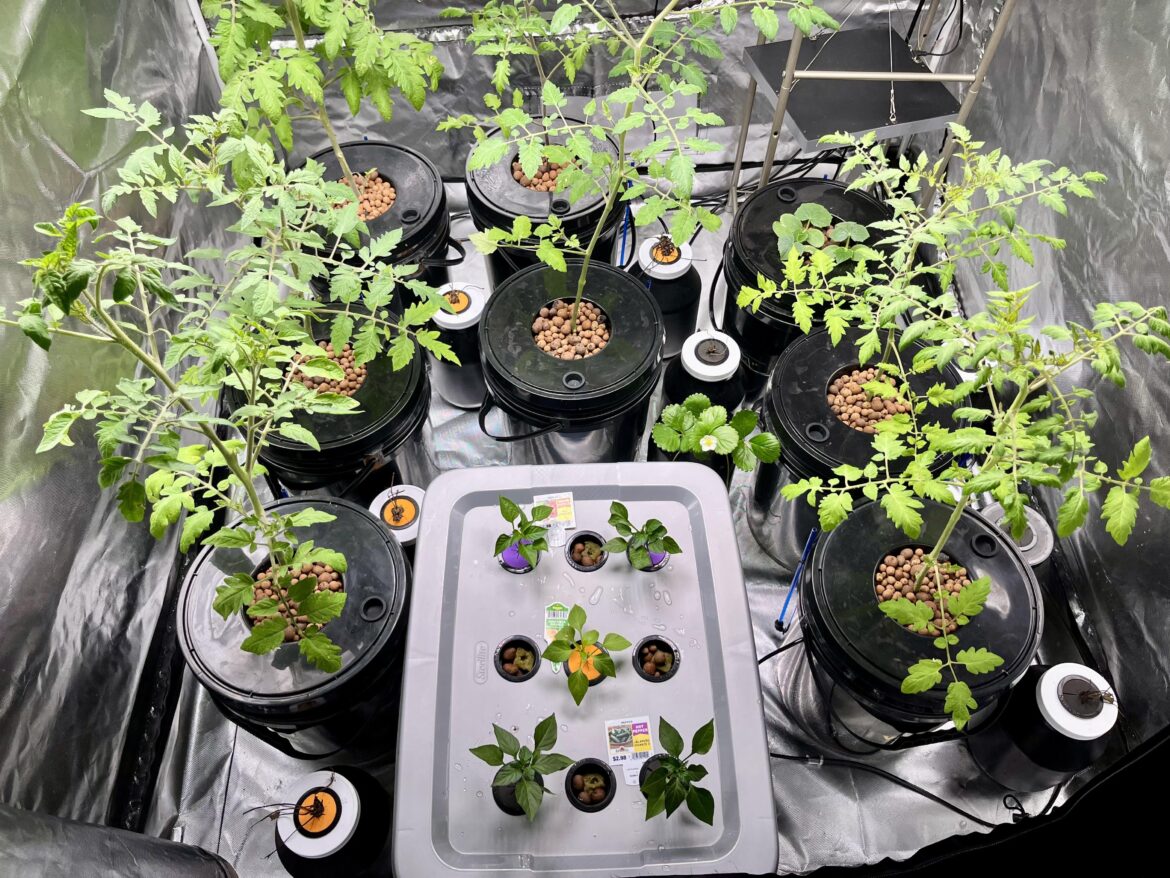 Plant spacing “pshhh…”