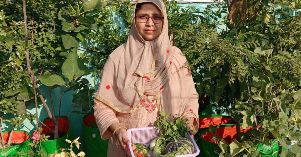 Jhansi Woman Cultivates 200+ Plant Garden In Her Daughter’s Memory 47-YO Mother Grows Anjeer, Jamun & 200+ Trees in a Living Tribute to Her Late Daughter