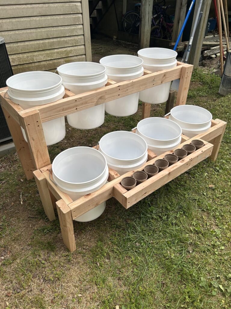 First time grower. Wish me luck. Feel free to bombard the comment section with tips.