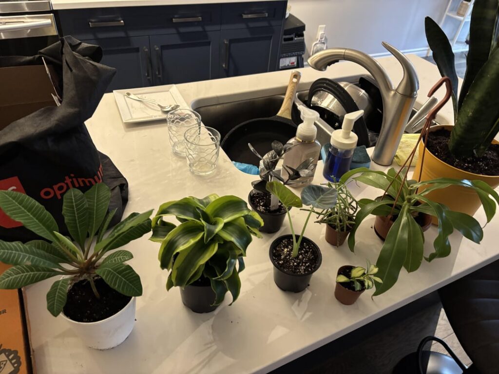 I. Can’t. Stop. Buying. Plants I. Can't. Stop. Buying. Plants