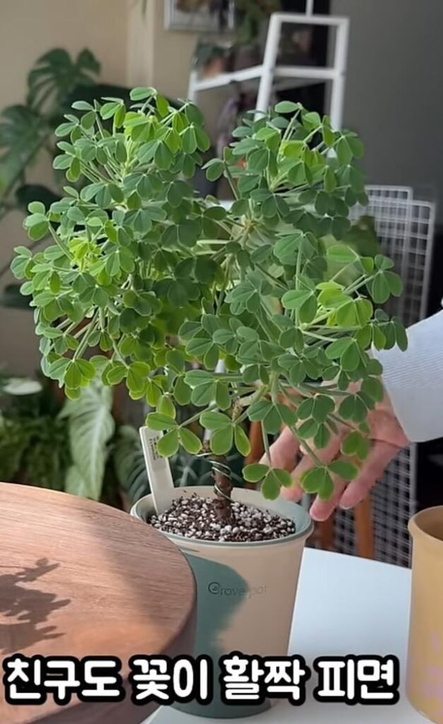 Name please
