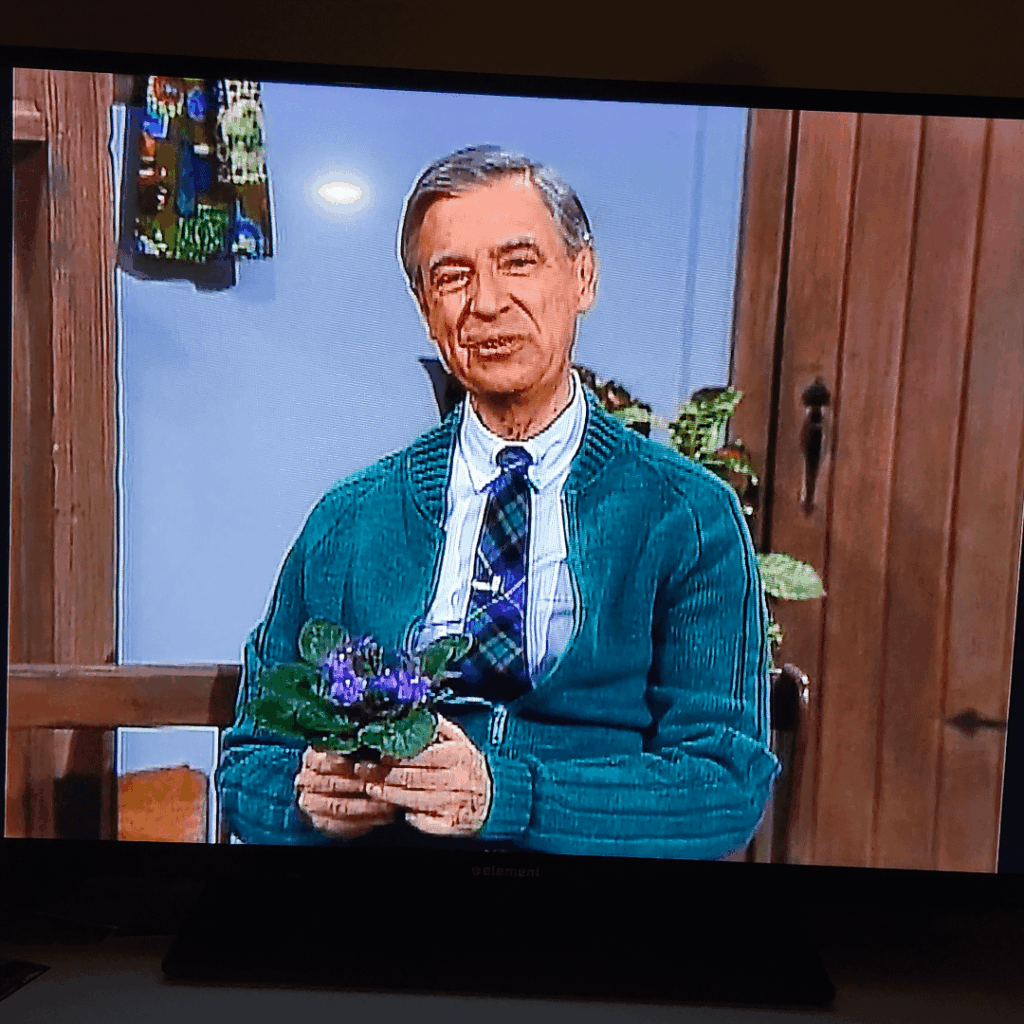 Decided to put on an episode of Mr. Rogers on before bed, and he brought an African violet on with him!