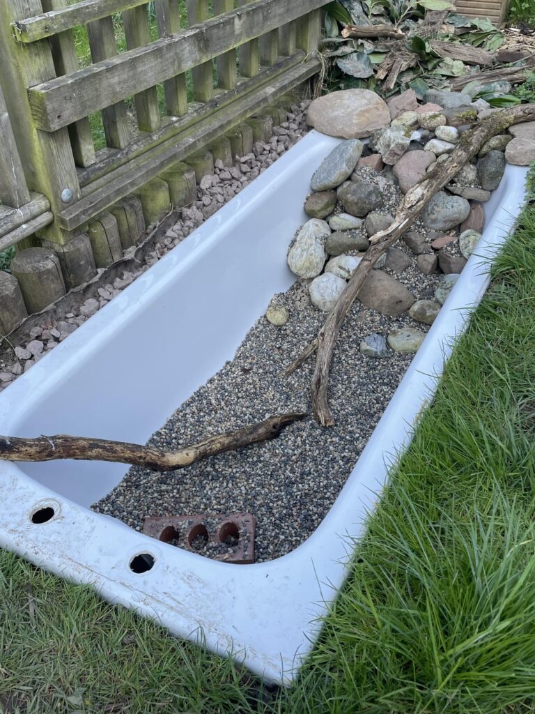 Turned a bathtub into a wildlife pond