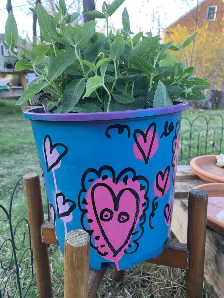 A lil Show and Tell A lil Show and Tell