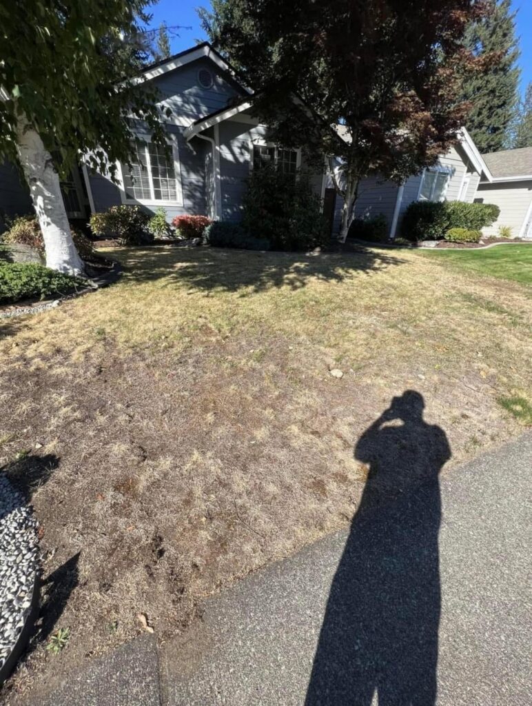 Wild what you can do in just 1.5 years. Before and afters.