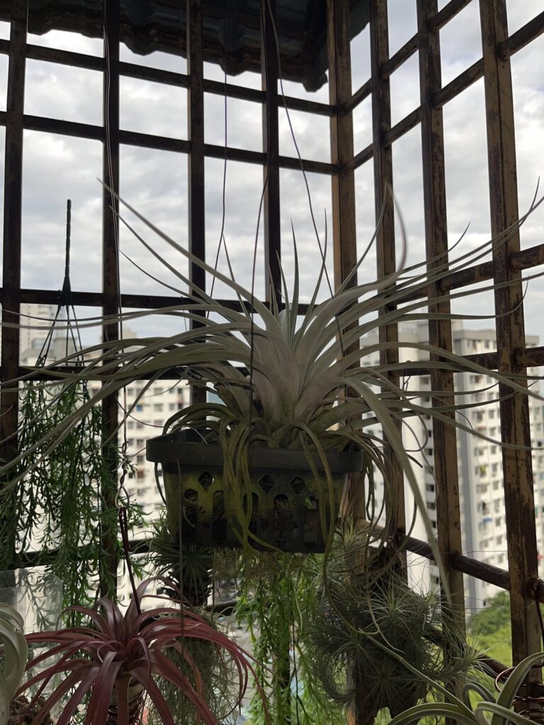 ID Request Big airplant