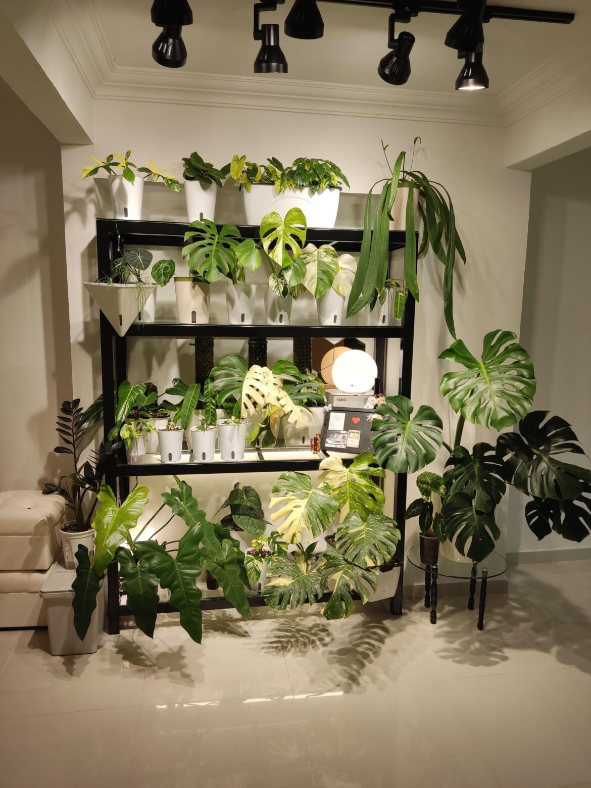 Indoor plant shelf all in self watering pots. Finally finished installing all the lights the other day. Any tips or things I should know or lookout for?