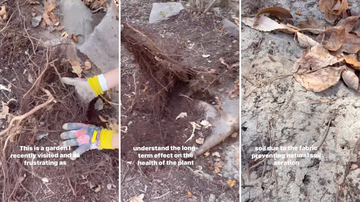 ‘It breaks my heart seeing this’ The product presents multiple issues.