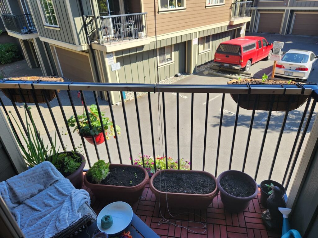 Please don’t rate my setup! Please don't rate my setup!