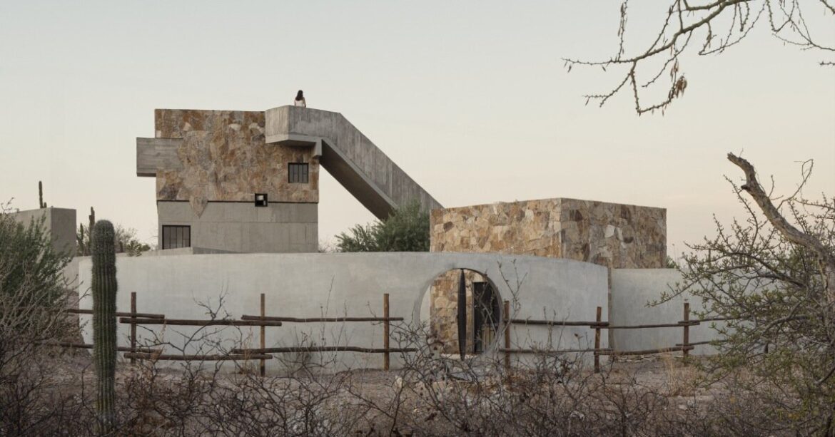 ludwig godefroy's casa la paz is a 'garden with a house' in mexico