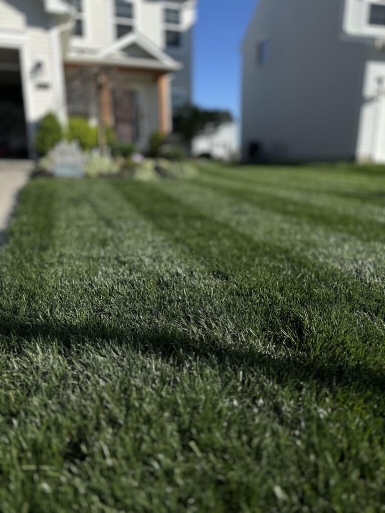 New blade : Who Dis?