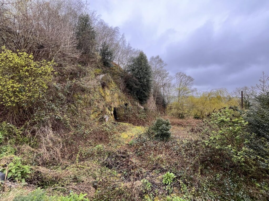 Garden project, before, and not quite after, but midway ๐๐ Garden project, before, and not quite after, but midway ๐๐