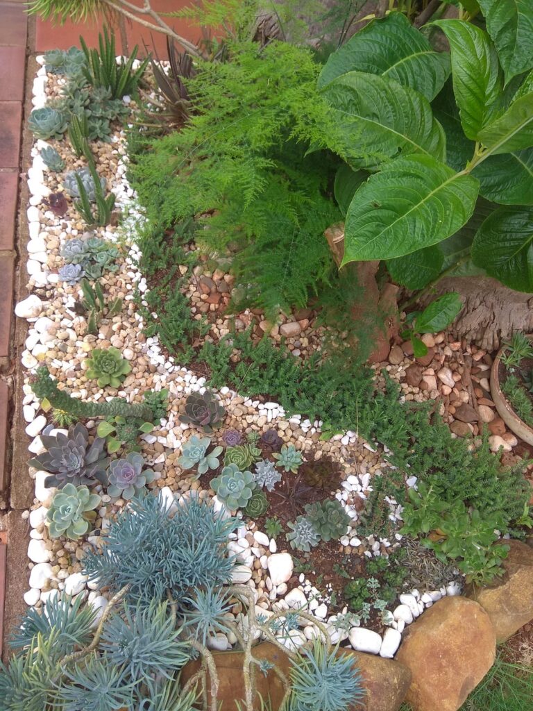 TBT – this is how It all started TBT - this is how It all started