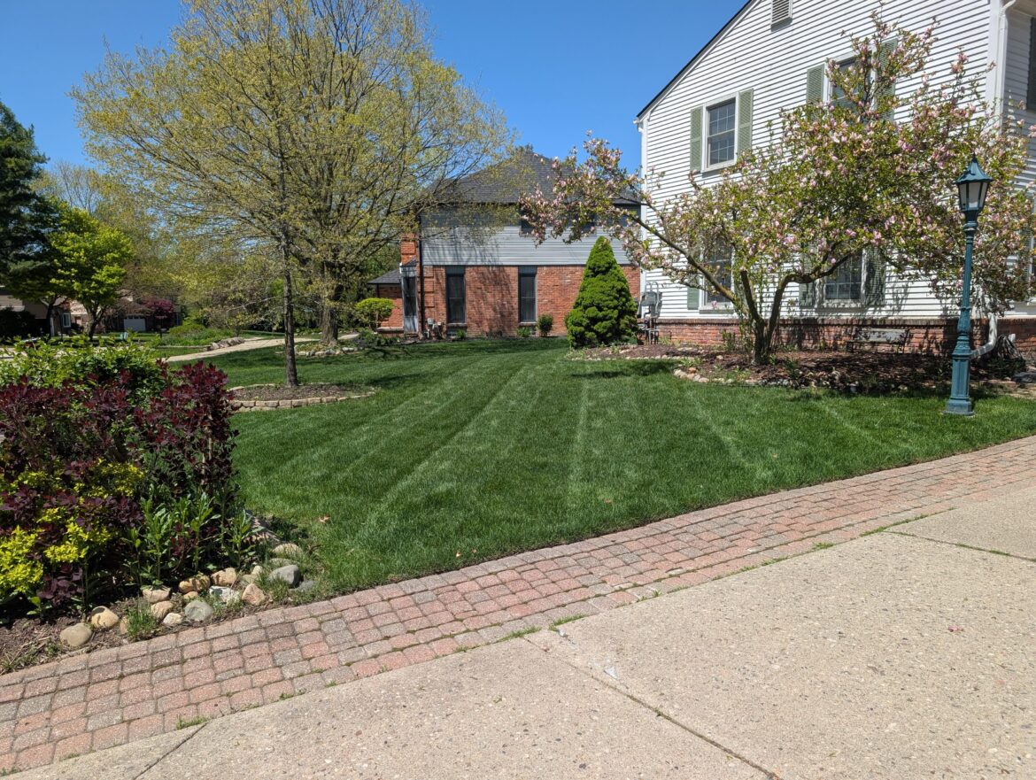 USDA 6a second coat of the season but we did have a frost overnight. I sharpened my blades to 30° right before cutting and I think that was the right decision. Still a long way to go and mulch to apply but happy with the grass.