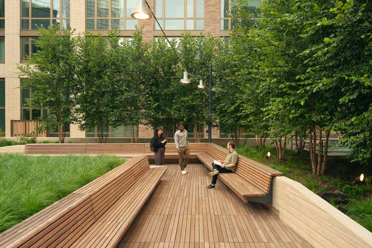 Malt Drive Park / TF Cornerstone + SCAPE / Landscape Architecture - Exterior Photography, Garden