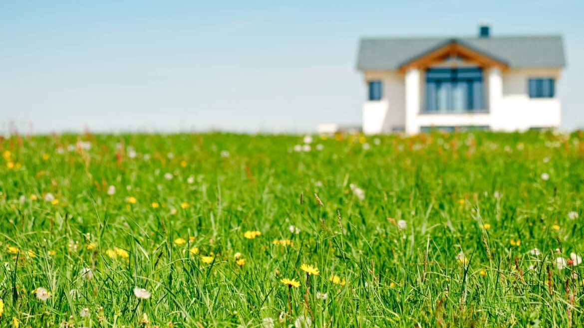 ‘Imagine if half of an urban population took that view’ The beauty that results from these projects is often stunning.