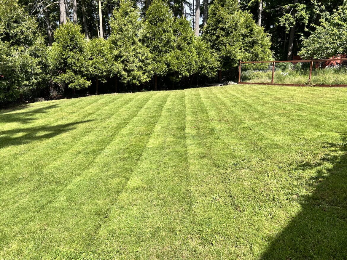 Not the best but not bad for a 16year old with a cheap craftsman