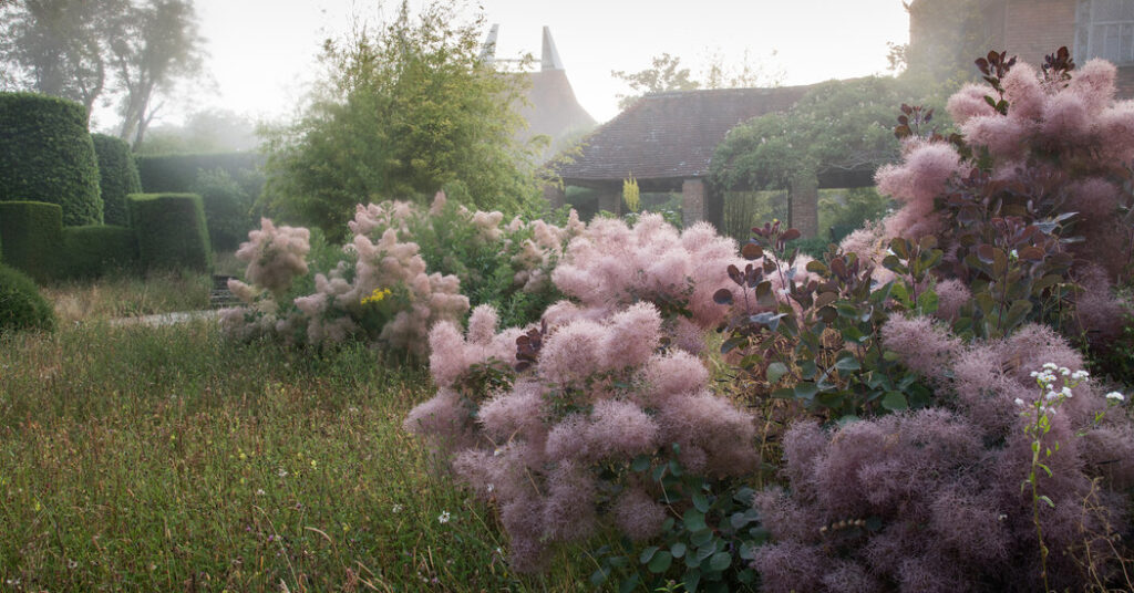 The 25 Essential Gardens to See in Your Lifetime