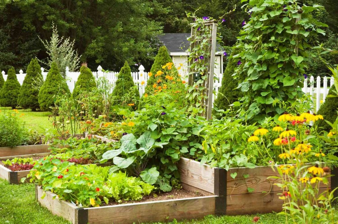 19 Vegetable Garden Ideas for Any Size Yard 19 Vegetable Garden Ideas for Any Size Yard