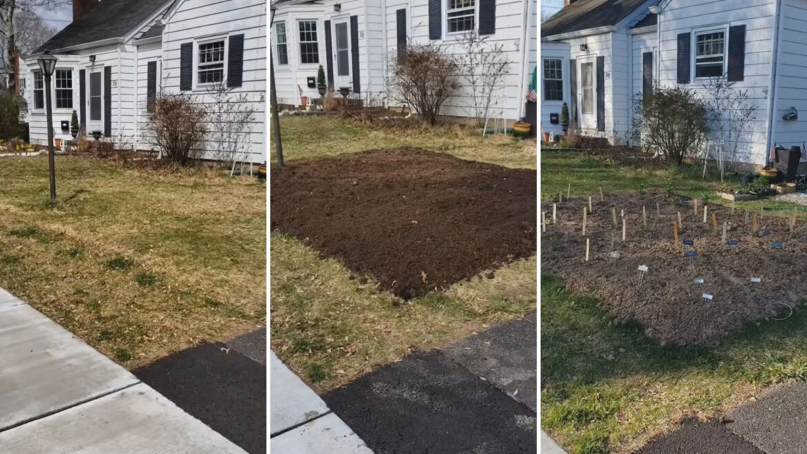 "I said whoa out loud!"